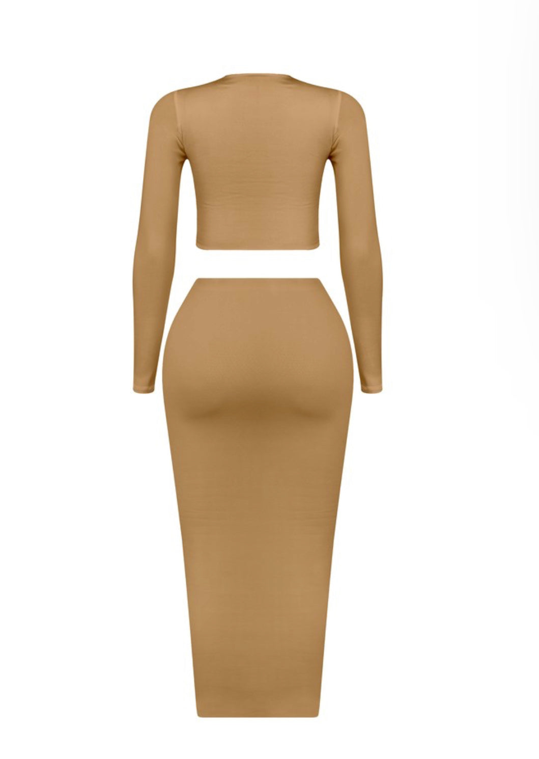 Brown Maxi Skirt Long Sleeve Set